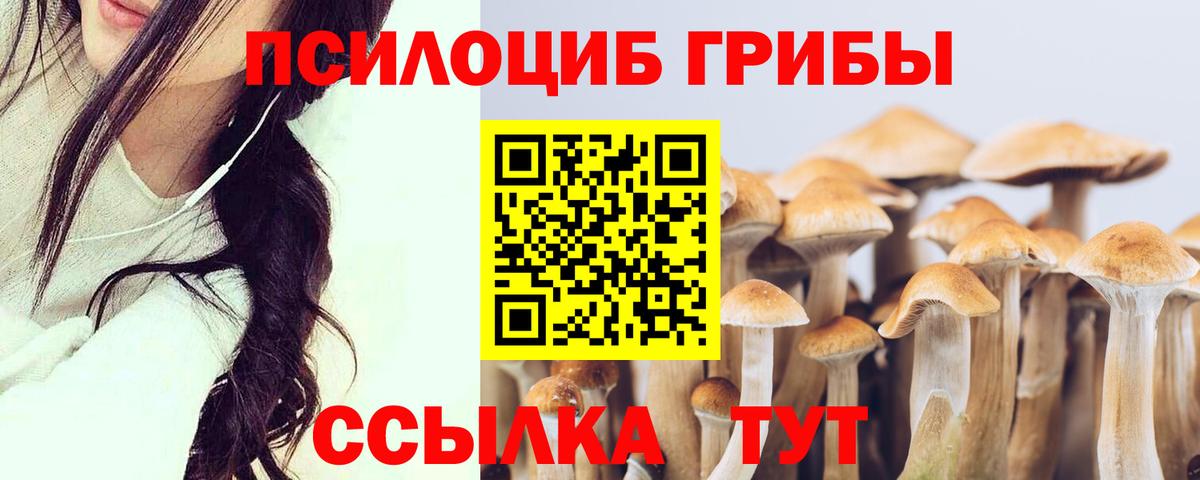 Галлюциногенные грибы мухоморы Электросталь